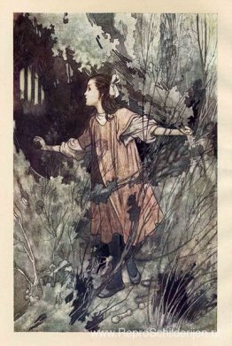 De geheime tuin De geheime tuin