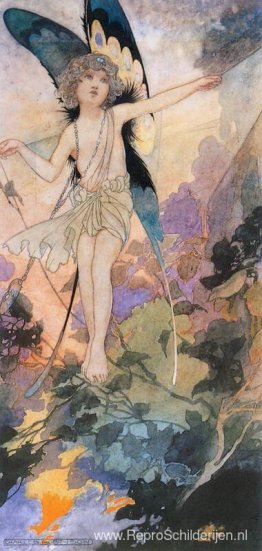 De magie van het spinnenweb De magie van het spinnenweb