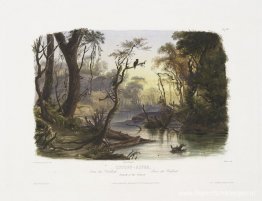 Cutoff River, tak van de Wabash, bord 8 uit deel 1 van 'Reizen i Cutoff River, tak van de Wabash, bord 8 uit deel 1 van 'Reizen i