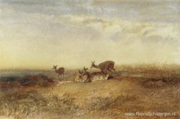 Herten in een landschap Herten in een landschap