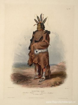 Pachtuwa-Chta, een Arrikkara-krijger, bord 27 uit deel 1 van 'Re Pachtuwa-Chta, een Arrikkara-krijger, bord 27 uit deel 1 van 'Re