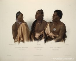 Een Missouri-indiaan, een Oto-indiaan en het hoofd van de Puncas Een Missouri-indiaan, een Oto-indiaan en het hoofd van de Puncas