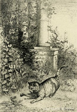 Kat speelt met een adder Kat speelt met een adder