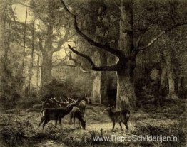 Bos van Fontainbleau Bos van Fontainbleau