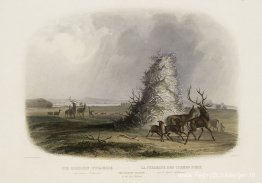 De Elkhorn-piramide aan de Upper Missouri, plaat 13 uit deel 2 v De Elkhorn-piramide aan de Upper Missouri, plaat 13 uit deel 2 v