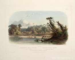 Punka-indianen gelegerd aan de oevers van de Missouri, bord 11 u Punka-indianen gelegerd aan de oevers van de Missouri, bord 11 u