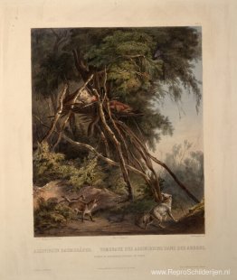 Tombs of Assiniboin Indians on Trees, bord 30 uit deel 1 van 'Re Tombs of Assiniboin Indians on Trees, bord 30 uit deel 1 van 'Re