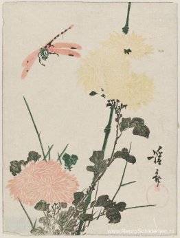 Chrysanten en Libelle Chrysanten en Libelle