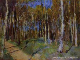 Lente. Martysjkino Lente. Martysjkino