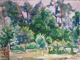 Heuvels. Het park. Heuvels. Het park.