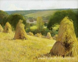 Schoven maïs Schoven maïs