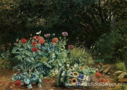 Zomerbloemen in een rustig hoekje van de tuin Zomerbloemen in een rustig hoekje van de tuin