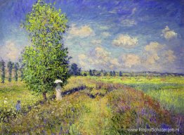 De zomer, papaverveld De zomer, papaverveld