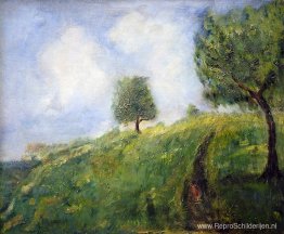 Landschap Landschap