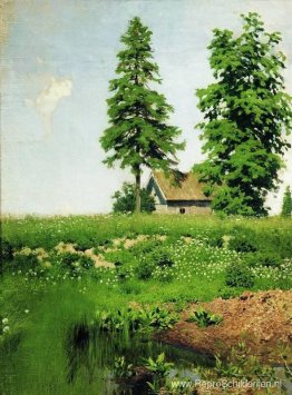 Hut op de weide Hut op de weide