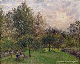 Appelbomen en populieren in de ondergaande zon Appelbomen en populieren in de ondergaande zon
