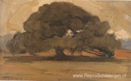 Landschap met pijnboom Landschap met pijnboom