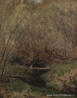 Lente in het bos Lente in het bos