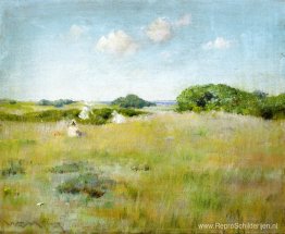 Een zomerdag Een zomerdag