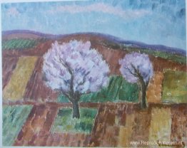 Kersenbomen in bloei Kersenbomen in bloei