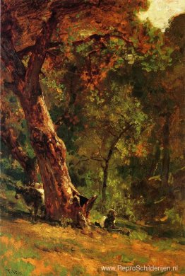 Chinese man hoedt vee Chinese man hoedt vee