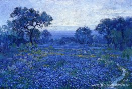 Bluebonnet-scène Bluebonnet-scène