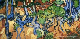 Boomwortels Boomwortels