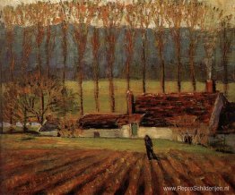 Groenteboerderij Groenteboerderij