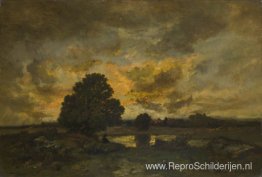 Gemeenschappelijk met stormachtige zonsondergang Gemeenschappelijk met stormachtige zonsondergang