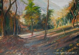 Oranjepark #2 Oranjepark #2