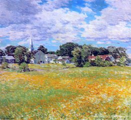 Boterbloem tijd Boterbloem tijd