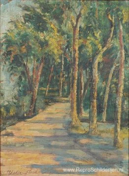 Pad in het bos Pad in het bos