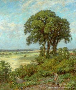 Landschap in Sussex Landschap in Sussex
