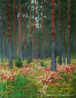 Landschap met varens Landschap met varens