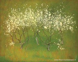 Lente Lente