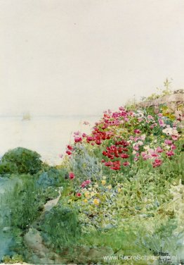 Veld met klaprozen, Isles of Shaos, Appledore Veld met klaprozen, Isles of Shaos, Appledore