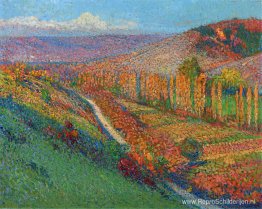 Groene vallei met stroom Groene vallei met stroom