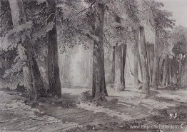 In het park In het park