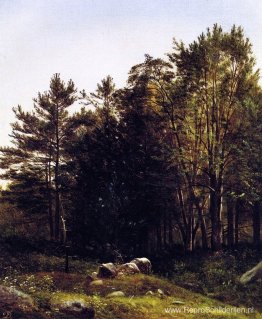 Een studie nabij Tamworth, New Hampshire Een studie nabij Tamworth, New Hampshire
