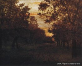 Weg in een bos Weg in een bos