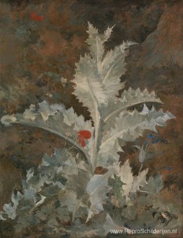 Een distel Een distel