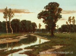 Grazend vee dichtbij de rivier Grazend vee dichtbij de rivier