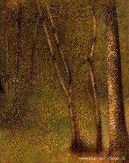 Het bos bij Pontaubert Het bos bij Pontaubert