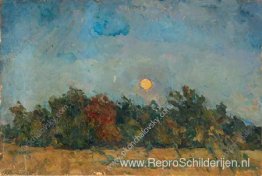 Nacht op het veld Nacht op het veld