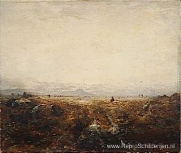 Vlakte voor de Pyreneeën Vlakte voor de Pyreneeën