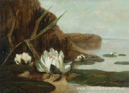 Waterlelies Waterlelies