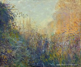 Studeer Rushes in Argenteuil Studeer Rushes in Argenteuil