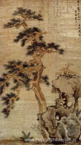 Rotsen en Reishi Rotsen en Reishi