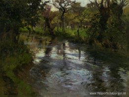 Bosscène met een rivier Bosscène met een rivier