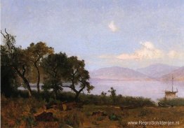 Morgen, helder meer Morgen, helder meer